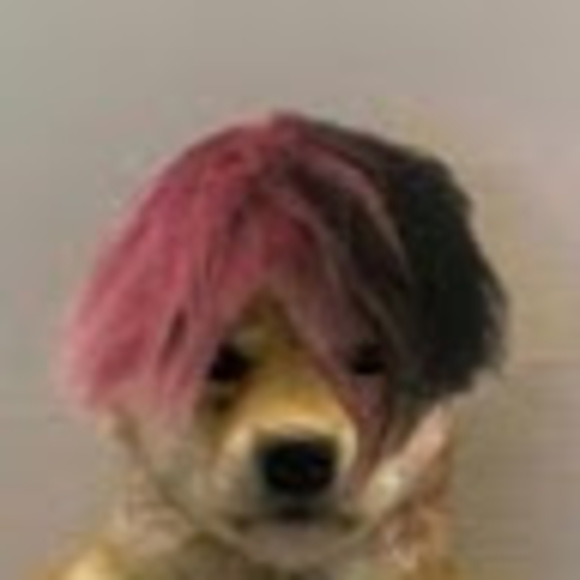 Meet your Posher, Cam - Picture 1 of 1